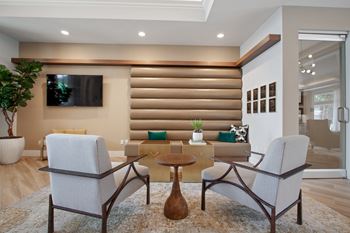 Bright lounge
